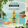 Free St~Germain Hugo Spritz Cocktail